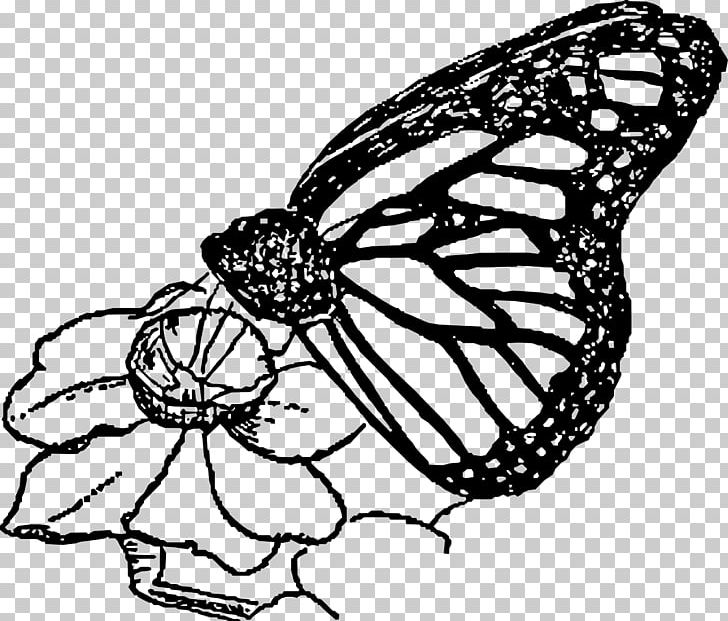 Monarch Butterfly Line Art PNG, Clipart, Artwork, Brush Footed Butterfly, Butterfly Clipart, Cartoon, Flower Free PNG Download