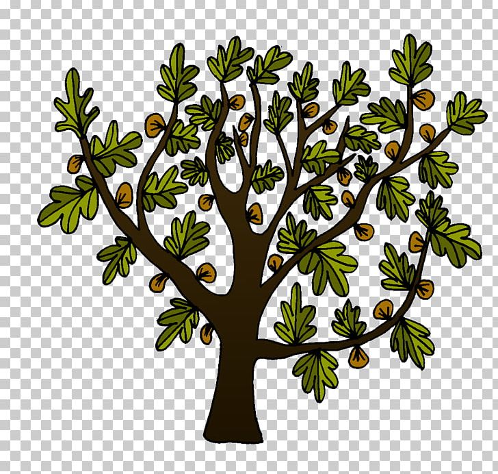 Natural Environment Nature Flora Reptile Biophysical Environment PNG, Clipart, Boom, Branch, Environmental Education, Environmental Law, Flora Free PNG Download