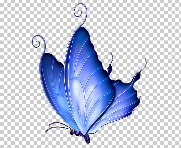 Butterfly Pink Free PNG, Clipart, Arthropod, Blue, Butterflies, Butterflies Image, Butterfly Free PNG Download