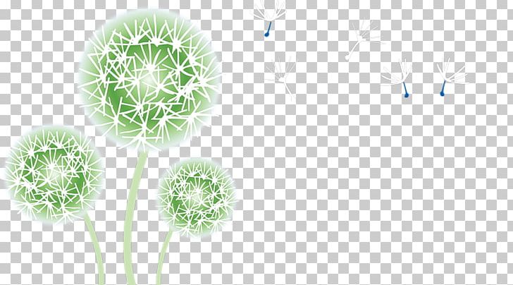 Flower Common Dandelion PNG, Clipart, Anemophily, Computer Wallpaper, Dandelion, Data, Desktop Wallpaper Free PNG Download