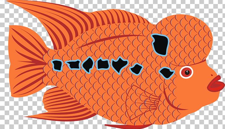 Goldfish Bony Fishes Flower Horn PNG, Clipart, Art, Auratus, Bony Fishes, Cichlid, Feeder Fish Free PNG Download