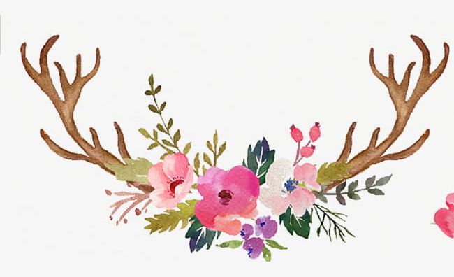 Hand Painted Antlers With Wild Flowers PNG, Clipart, Antlers, Antlers Clipart, Flowers Clipart, Hand, Hand Clipart Free PNG Download