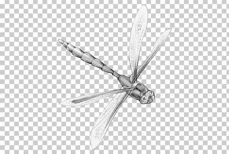 Insect Animal Magic Poems Dragonfly Poetry PNG, Clipart, Animal Magic Poems, Black And White, Blog, Dragonfly, Drawing Free PNG Download