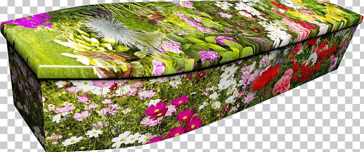 Colourful Coffins Funeral Floral Design Keyword Tool PNG, Clipart, Coffin, Colourful Coffins, Com, Flora, Floral Design Free PNG Download