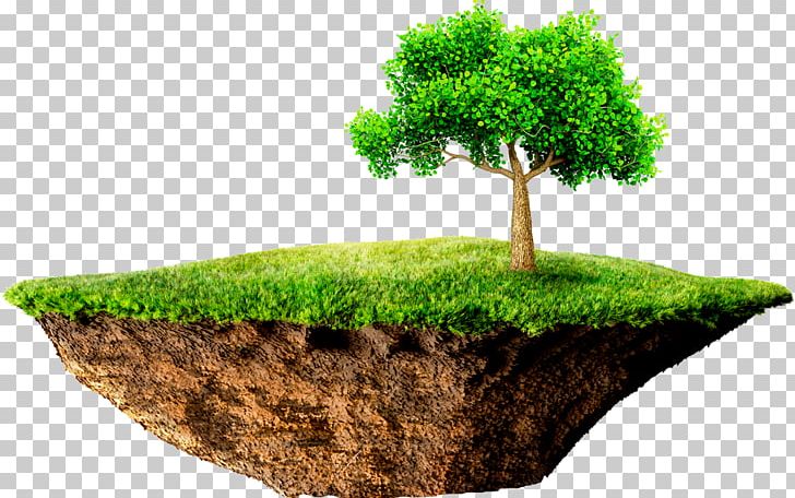 Floating Island Stock Photography 美の起原 PNG, Clipart, Bonsai, Business, Ecosystem, Floating Island, Flowerpot Free PNG Download
