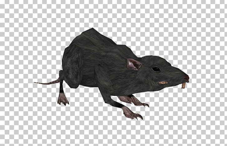Mouse Terrestrial Animal Snout Wildlife PNG, Clipart, Animal, Animal Figure, Animals, Fauna, Mammal Free PNG Download