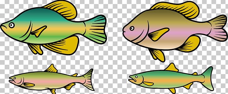 Rainbow Trout Fish PNG, Clipart, Adobe Illustrator, Animal Figure, Animals, Aquarium Fish, Biology Free PNG Download