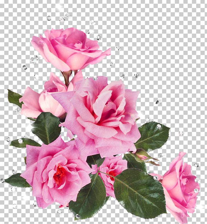 Still Life: Pink Roses Flower Garden Roses Stock Photography PNG, Clipart, Annual Plant, Artificial Flower, Cut Flowers, Floribunda, Floristry Free PNG Download