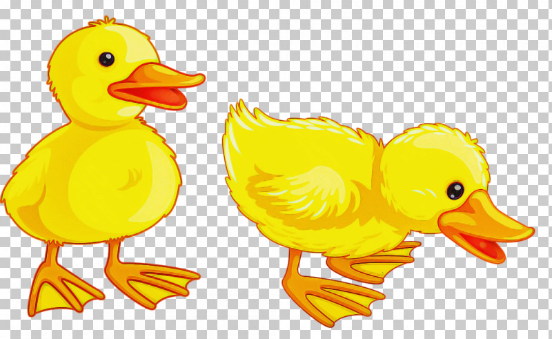 Bird Duck Ducks, Geese And Swans Yellow Water Bird PNG, Clipart, American Black Duck, Animal Figure, Bath Toy, Beak, Bird Free PNG Download