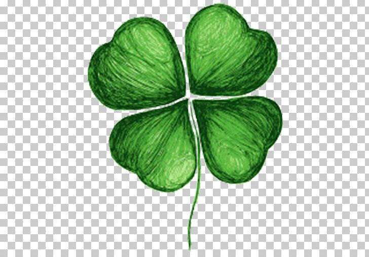 Four Leaf Clover Drawing Shamrock Png Clipart Clover Draw Drawing Flowers Four Free Png Download