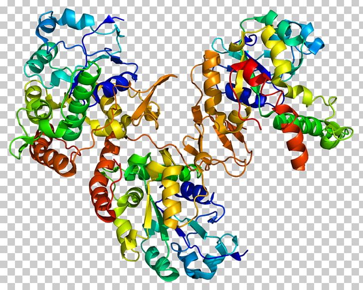 HS3ST1 Heparan Sulfate 2-O-sulfotransferase Enzyme PNG, Clipart, Area, Art, Biosynthesis, Circle, Enzyme Free PNG Download