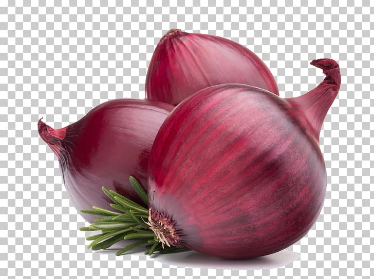 Red Onion Vegetable PNG, Clipart, Bangalore Rose Onion, Computer Icons, Display Resolution, Distress, Flowering Plant Free PNG Download