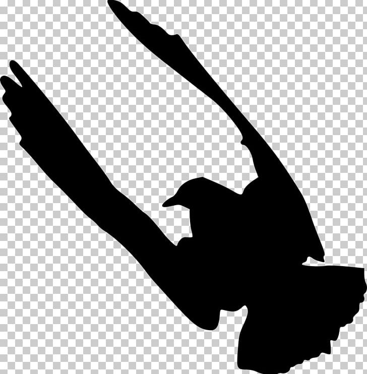 Silhouette Bird PNG, Clipart, Animals, Artwork, Beak, Bing, Bird Free PNG Download