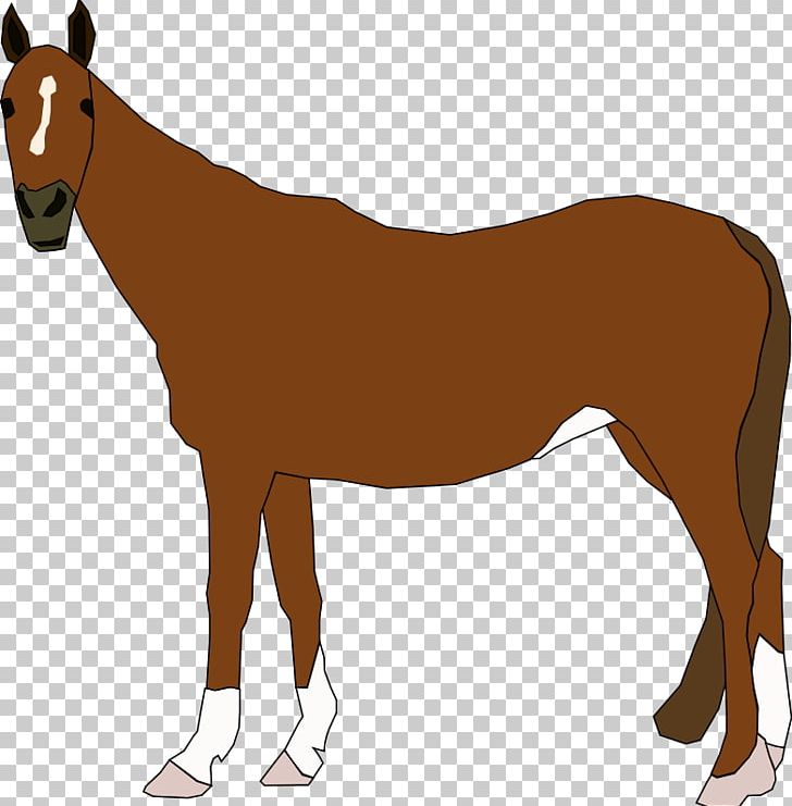 Clydesdale Horse Foal Free Content PNG, Clipart, Bridle, Clydesdale Horse, Colt, Download, Draft Horse Free PNG Download