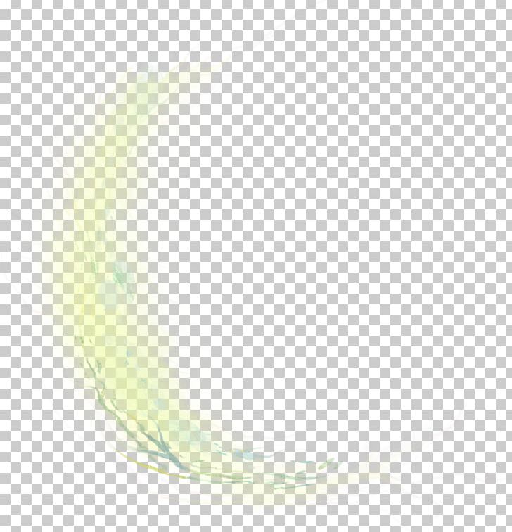Feather PNG, Clipart, Animals, Bottle, Feather, Grass, Green Free PNG Download