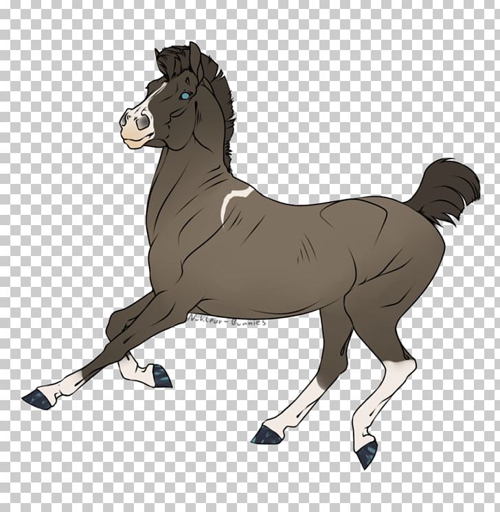 Mustang Foal Stallion Rein Halter PNG, Clipart,  Free PNG Download