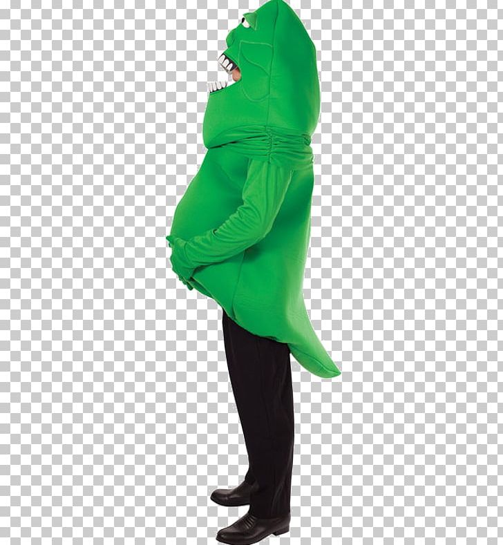 Amphibian Green Outerwear PNG, Clipart, Amphibian, Costume, Ghost Costume, Green, Outerwear Free PNG Download