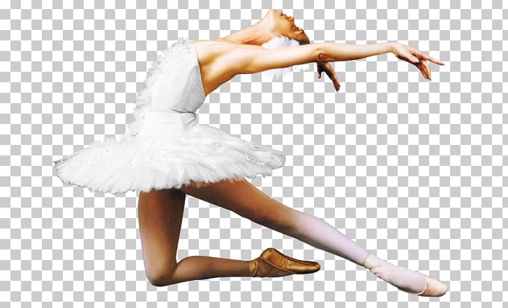 Ballet Dancer Ballet Dancer PNG, Clipart, Art, Ballet, Ballet Dancer, Ballet Tutu, Choreography Free PNG Download