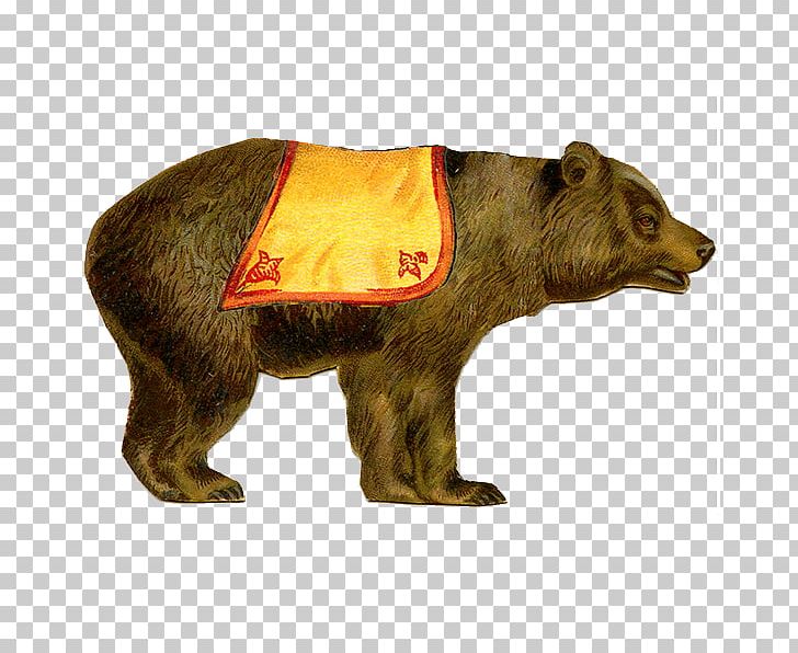 Brown Bear Circus PNG, Clipart, Animal Figure, Art, Bear, Brown Bear, Carnivoran Free PNG Download
