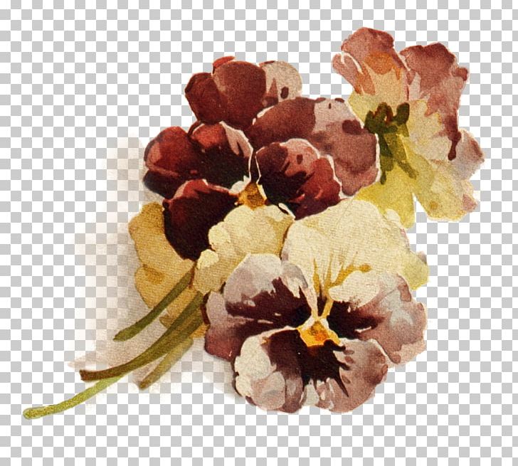 Flower Lavender Color PNG, Clipart, Autumn, Blue, Color, Cut Flowers, Flower Free PNG Download