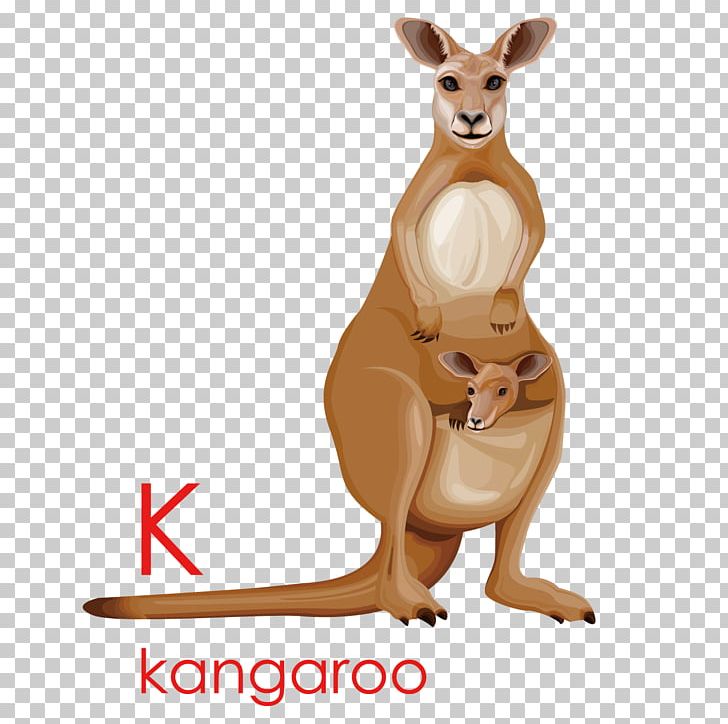 Kangaroo Cartoon Drawing Illustration PNG, Clipart, Animals, Cartoon, Creative Ads, Creative Artwork, Creative Background Free PNG Download