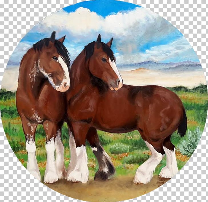 Mare Mustang Foal Stallion Pony PNG, Clipart, Bridle, Eal, Eap, Foal, Halter Free PNG Download