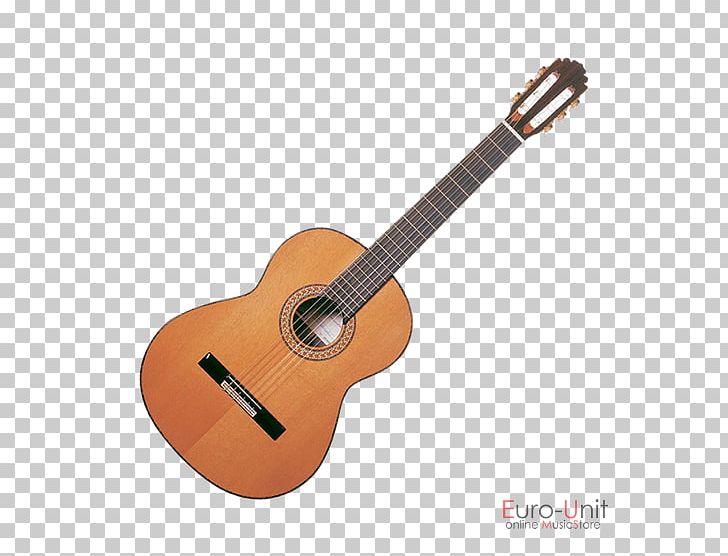 Takamine Guitars Steel-string Acoustic Guitar Acoustic-electric Guitar Classical Guitar PNG, Clipart, Acoustic Electric Guitar, Classical Guitar, Cuatro, Cutaway, Guitar Accessory Free PNG Download