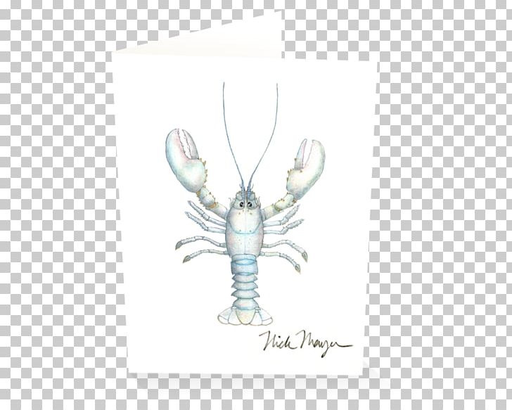 American Lobster California Spiny Lobster Decapoda Invertebrate Gloucester PNG, Clipart, Albinism, American Lobster, California Spiny Lobster, Claw, Decapoda Free PNG Download