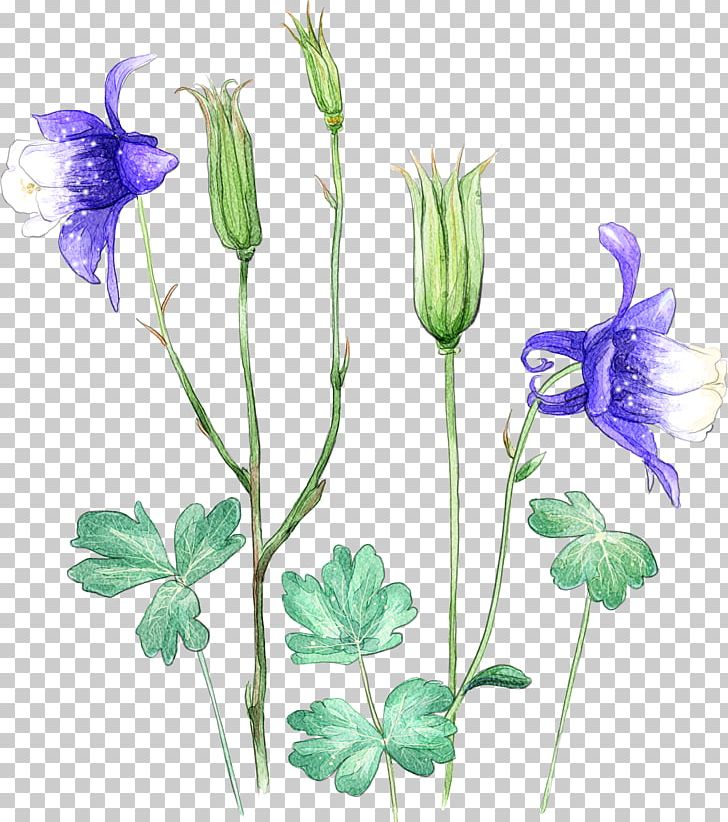 Cut Flowers Plant Petal Watercolor Painting PNG, Clipart, Bellflower Family, Cut Flowers, Daffodil, Desktop Wallpaper, Download Free PNG Download