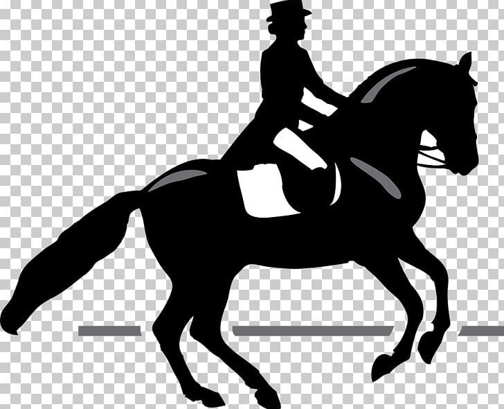 Equestrian Horse T-shirt Video PNG, Clipart, Animals, Animal Sports, Black, Dressage, Horse Free PNG Download