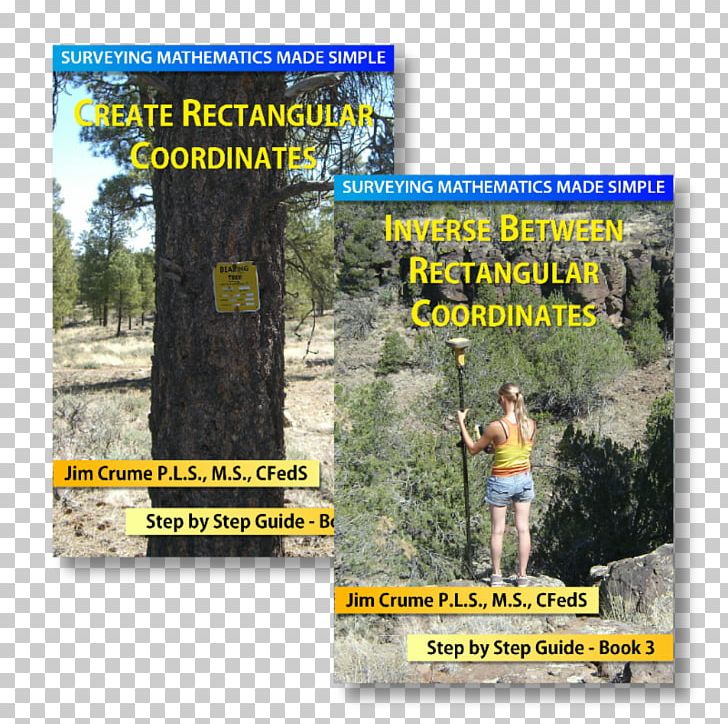 Public Land Survey System Quarter Section Bearing Angle PNG, Clipart, Advertising, Angle, Azimuth, Bearing, Book Corner Free PNG Download