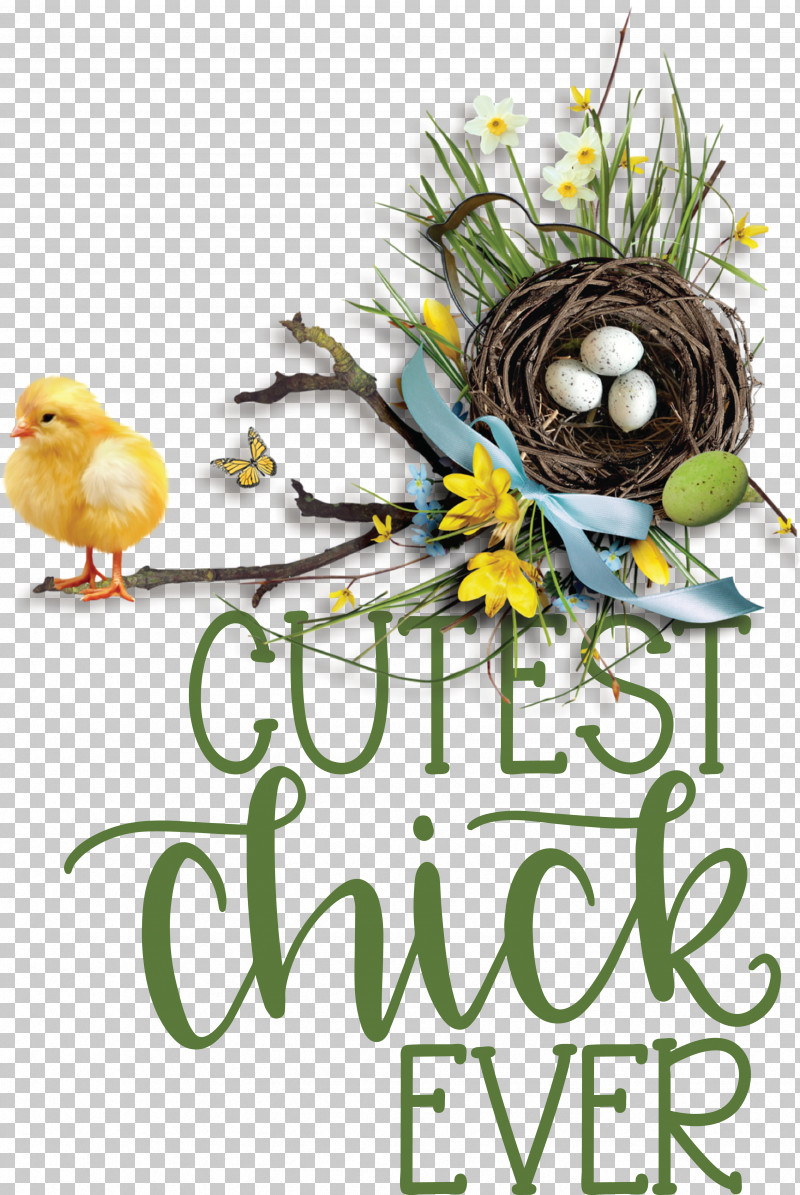 Birds Bird Nest Font Flower Tree PNG, Clipart, Biology, Bird Nest, Birds, Flower, Meter Free PNG Download