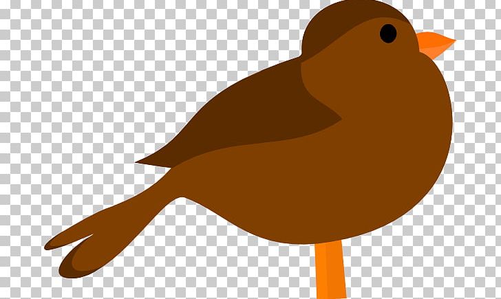 Bird Northern Cardinal PNG, Clipart, Animals, Beak, Bird, Bird Clipart, Bird Flight Free PNG Download