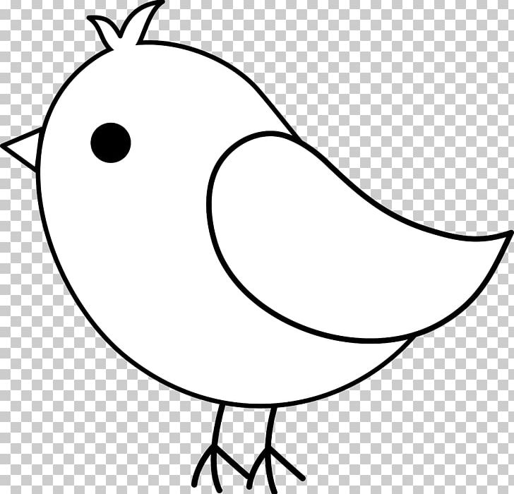 Bird Owl European Robin Cockatiel PNG, Clipart, Art, Artwork, Beak, Bird Flight, Bird Nest Free PNG Download