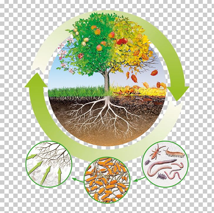 Fertilisers Humus Nutrient Circular Economy Organic Matter PNG, Clipart, Balkon, Circular Economy, Crop Protection, Fertilisers, Flowerpot Free PNG Download