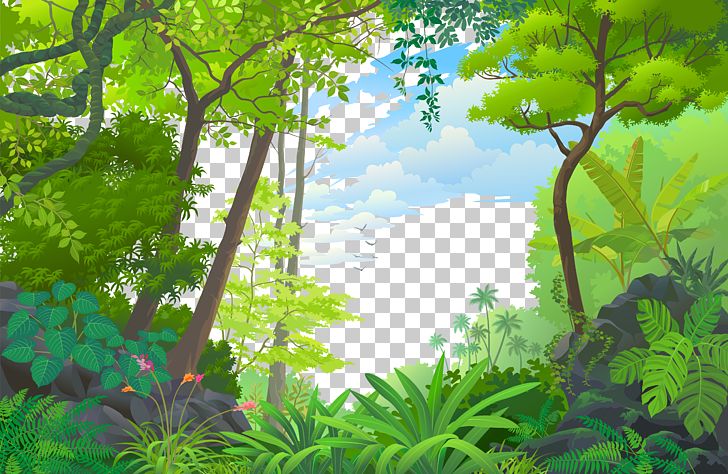 Landscape Jungle Euclidean Tropical Rainforest PNG, Clipart, Biome, Black Forest, Branch, Cartoon, Computer Wallpaper Free PNG Download