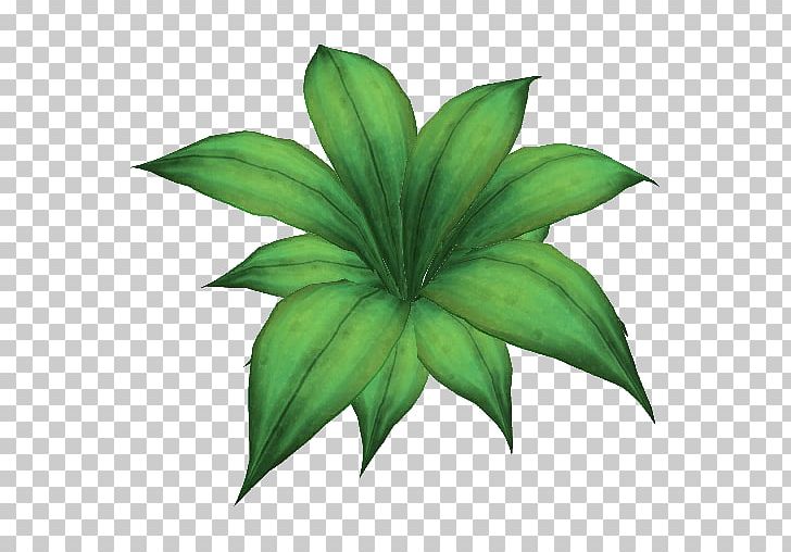 Leaf Shrubland Plant Stem PNG, Clipart, Biome, Butterfly, Computer Icons, Desert, Deserts And Xeric Shrublands Free PNG Download
