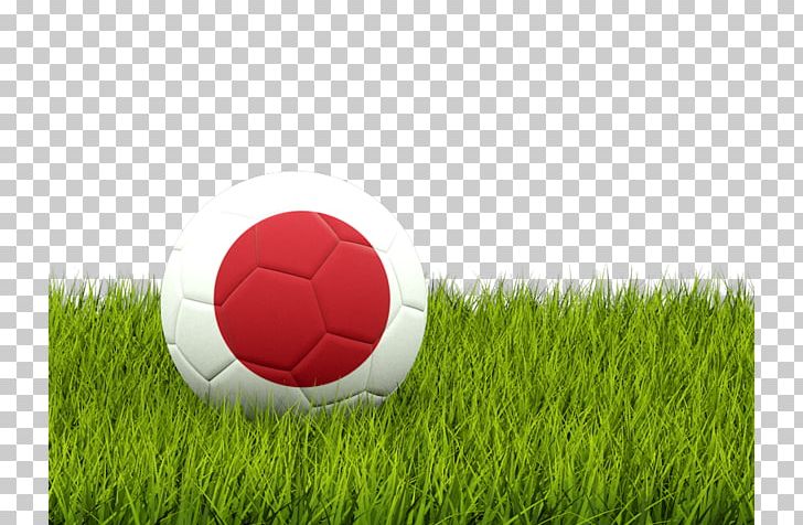 Nottingham Forest F.C. American Football Pakistan Football Federation Football Association Of Serbia PNG, Clipart, Artificial Turf, Ball, Computer Wallpaper, Flag Football, Football Player Free PNG Download