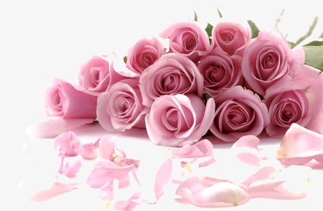Romantic Bouquet Of Pink Roses PNG, Clipart, Bouquet, Bouquet Clipart, Flowers, Petal, Pink Free PNG Download