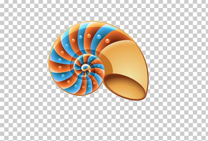 Seashell Mollusc Shell PNG, Clipart, Cartoon Conch, Chambered Nautilus, Circle, Conch, Conch Blowing Free PNG Download