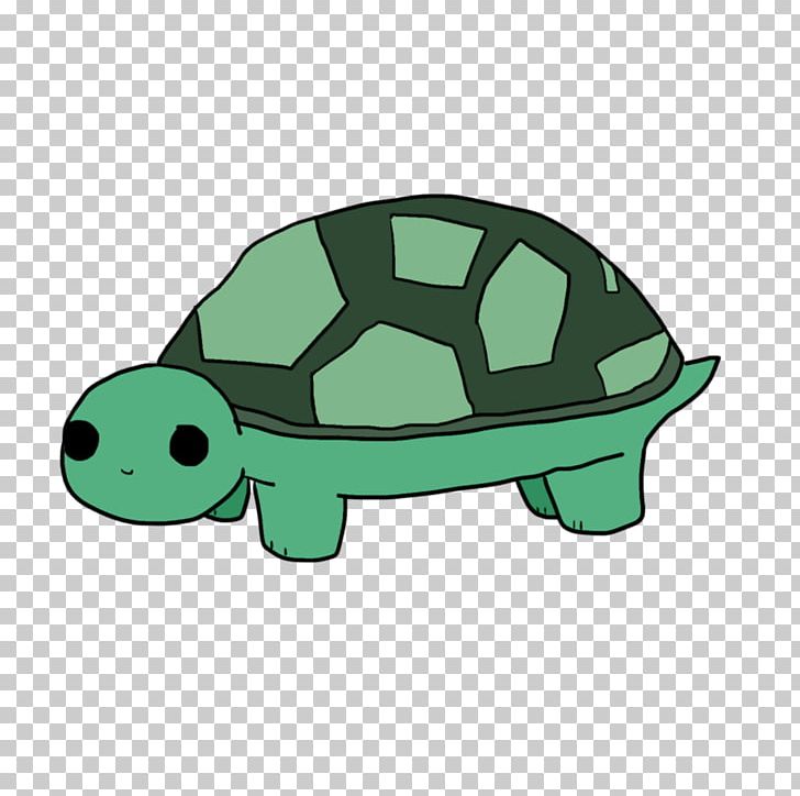 Tortoise Sea Turtle PNG, Clipart, Animals, Green, Green Turtle Cay, Organism, Reptile Free PNG Download