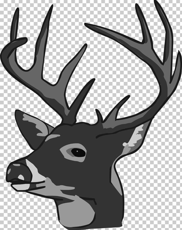 White-tailed Deer Reindeer Elk PNG, Clipart, Antler, Black And White, Cdr, Clip Art, Deer Free PNG Download
