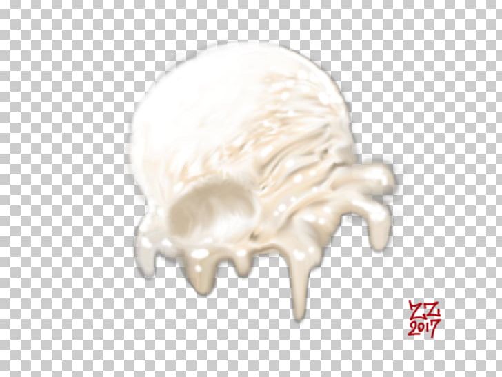 Bone PNG, Clipart, Bone, Jaw, Others Free PNG Download
