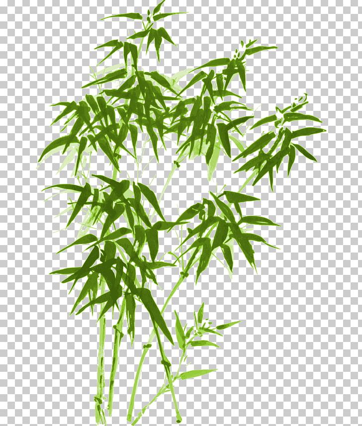 Ink Wash Painting Drawing Bamboo PNG, Clipart, Background Green, Bamboo, Bamboo Vector, Brush, Chinese Style Free PNG Download