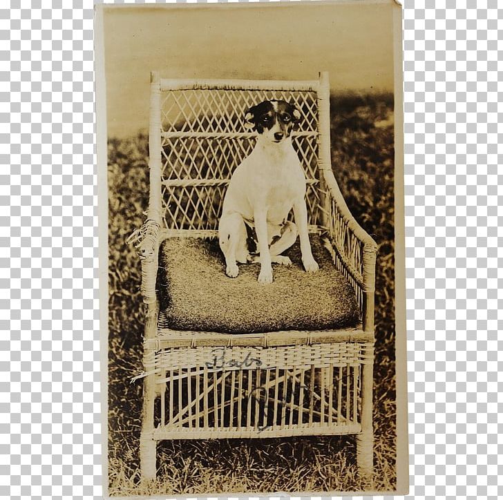 Real Photo Postcard Post Cards German Shepherd Collectable Antique PNG, Clipart, Animal, Antique, Chair, Collectable, Dog Free PNG Download