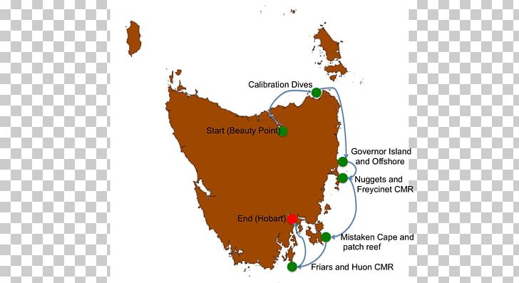 Tasmanian Devil Maria Island PNG, Clipart, Australia, Black Currawong, Currawong, Devils, Imo Free PNG Download