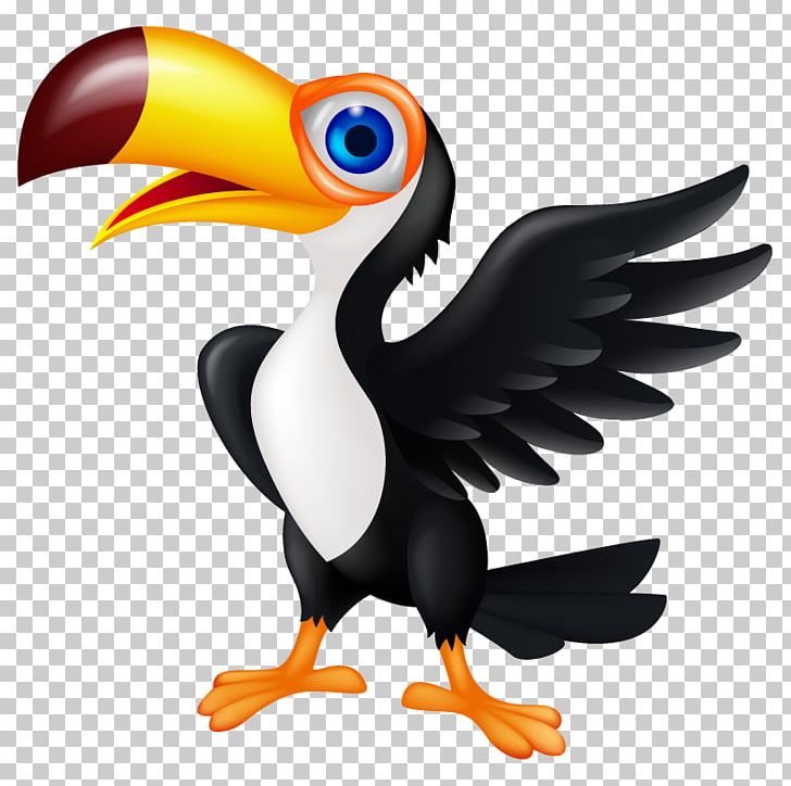 Bird Toucan Animation PNG, Clipart, Animals, Animation, Beak, Bird, Bird Of Prey Free PNG Download