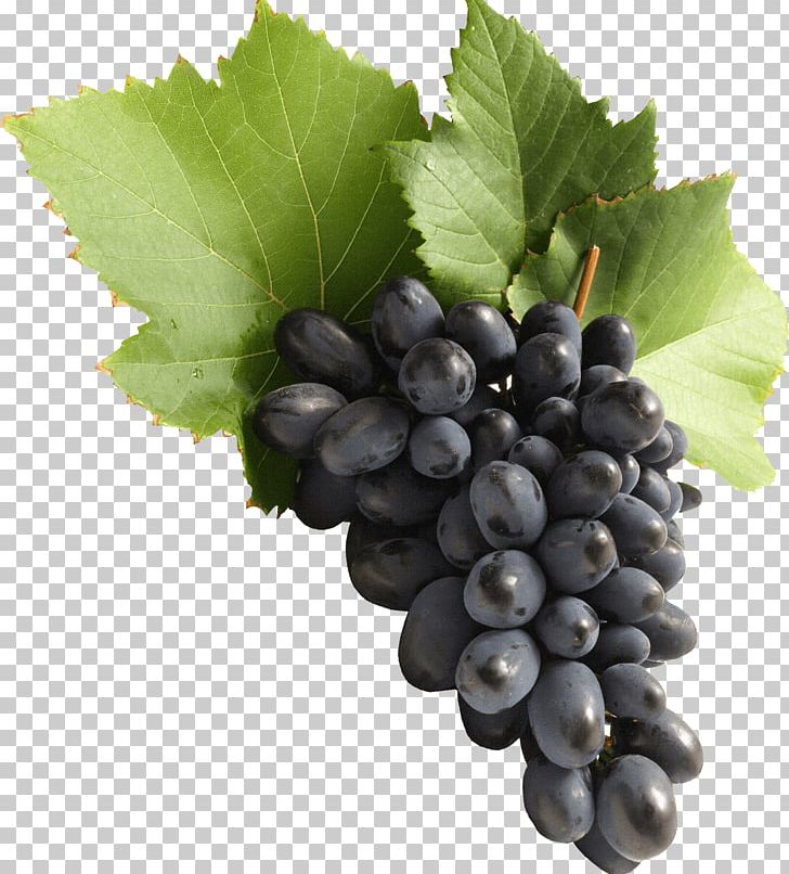 Common Grape Vine Juice Must PNG, Clipart, Blueberry, Climacteric, Fitfrenchies, Food, Fooddiary Free PNG Download