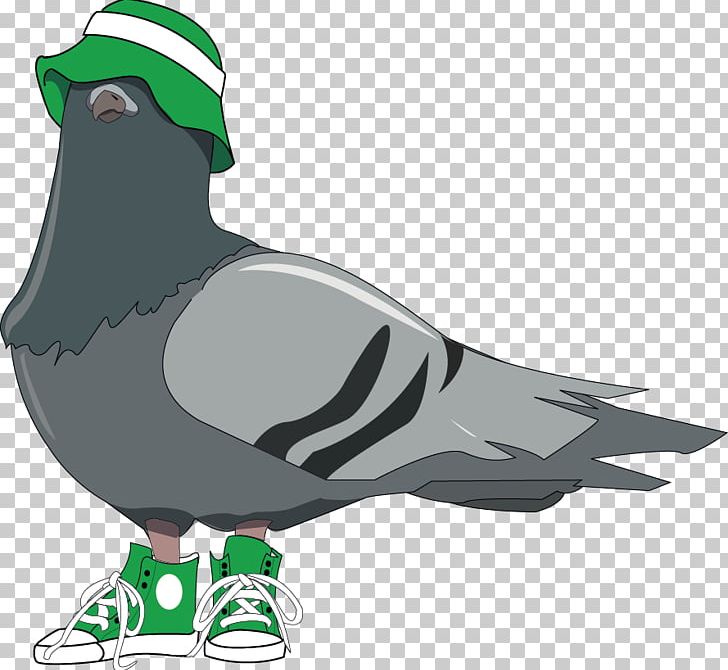 Homing Pigeon Columbidae Bird King Pigeon PNG, Clipart, Animal, Animals, Beak, Bird, Clip Art Free PNG Download