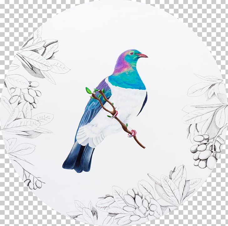 New Zealand Pigeon Bird Drawing Art PNG, Clipart, Animals, Art, Artist, Beak, Bird Free PNG Download
